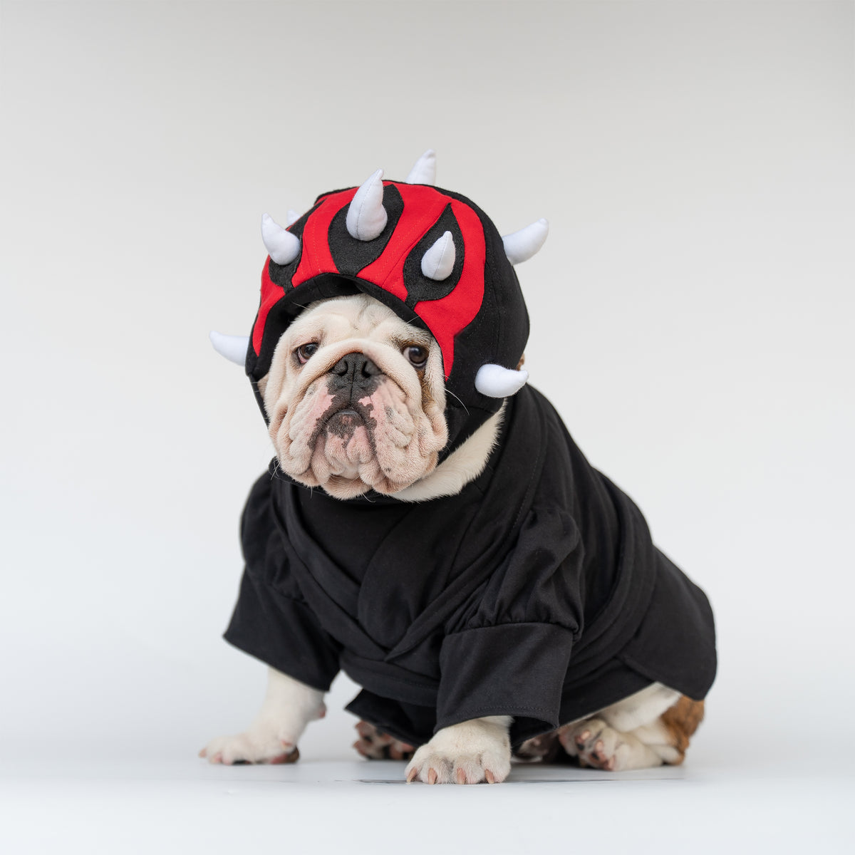 WONTON Bark Maul costume