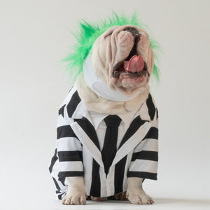 WONTON BeetleWoof costume