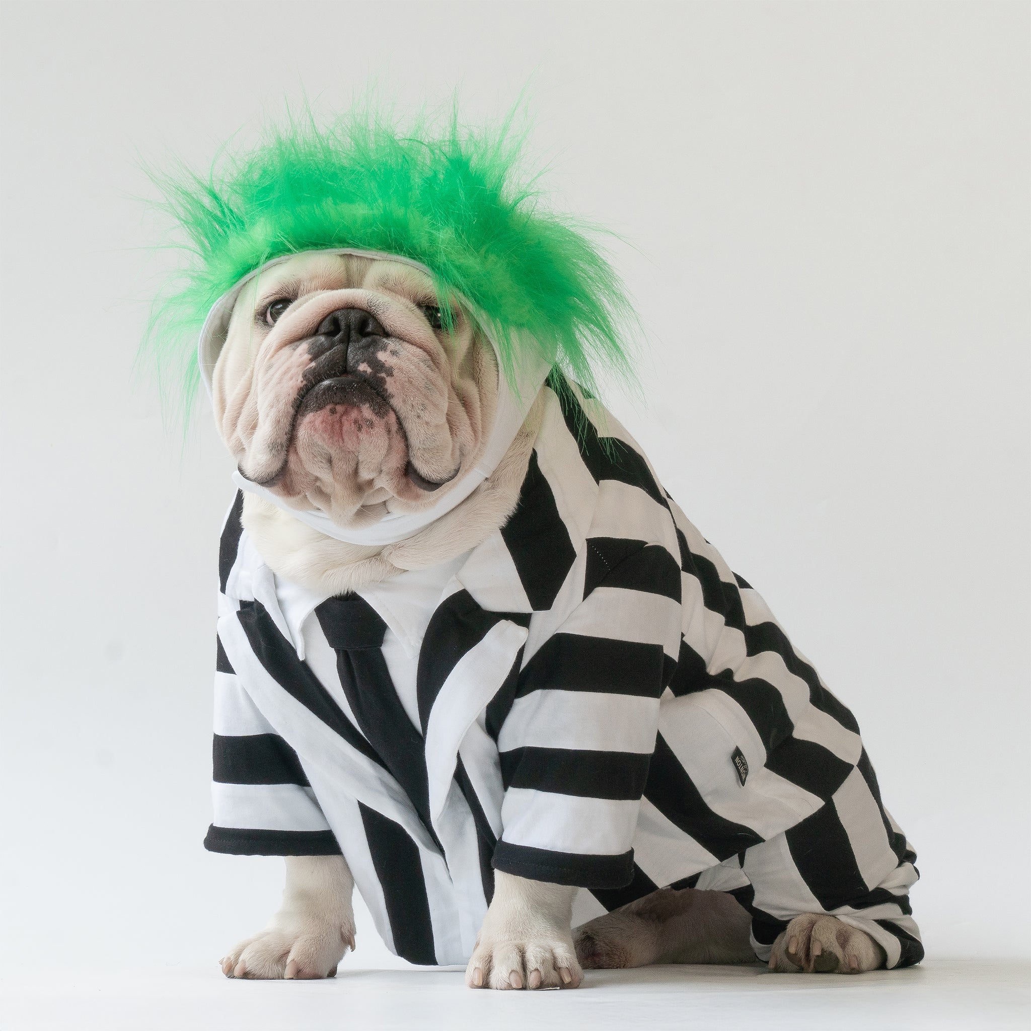 WONTON BeetleWoof costume