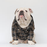 WONTON Black Timber Plaid shirt