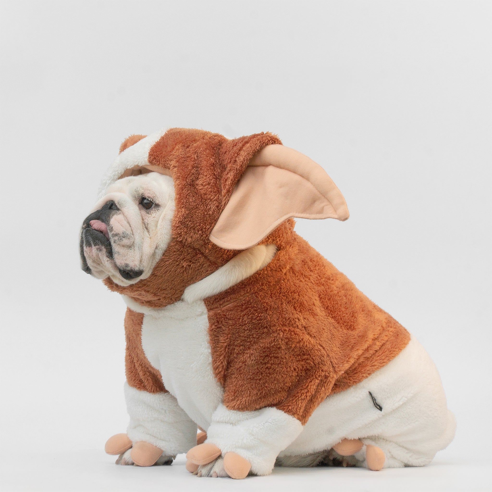 WONTON Bulzmo costume