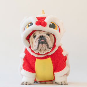 WONTON Chinese Lion costume, Chinese New Year LIMITED EDITION