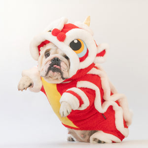 WONTON Chinese Lion costume, Chinese New Year LIMITED EDITION