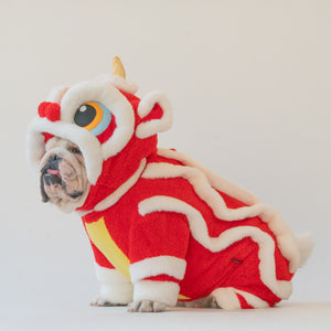 WONTON Chinese Lion costume, Chinese New Year LIMITED EDITION