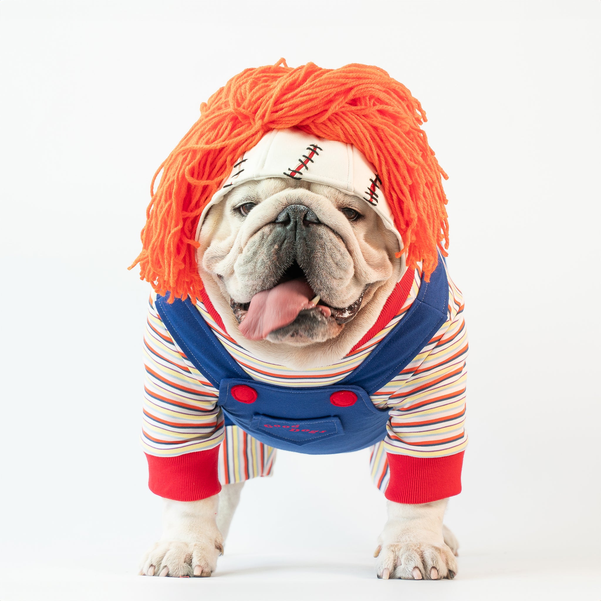 WONTON Bhucky Dog costume