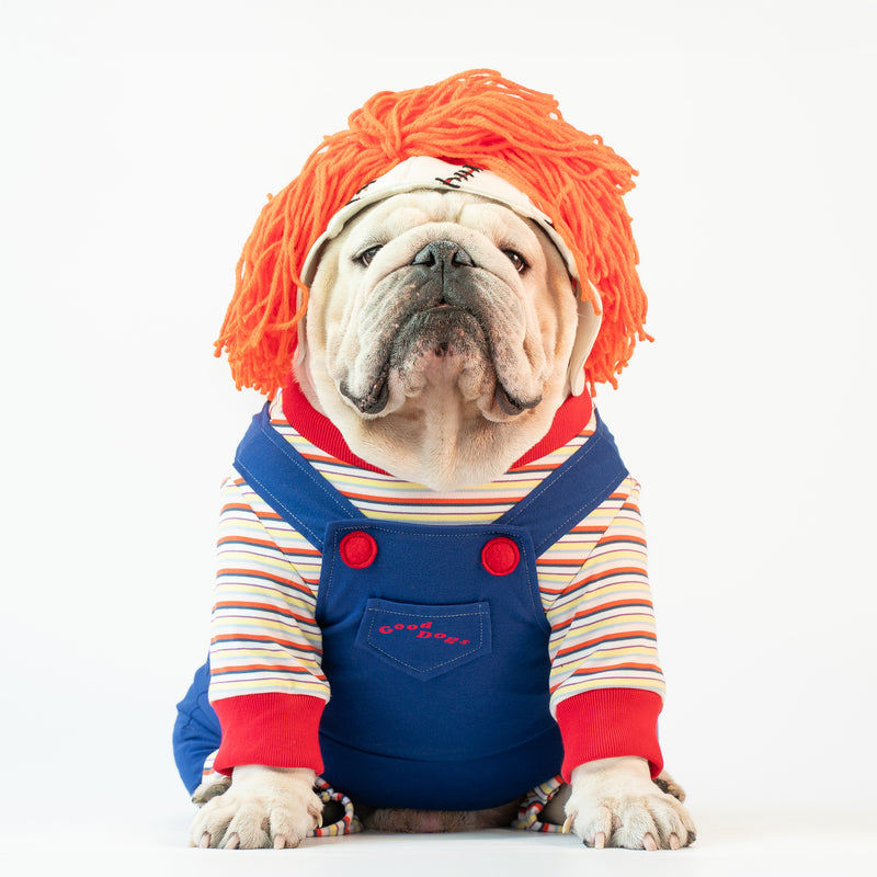 WONTON Bhucky Dog costume