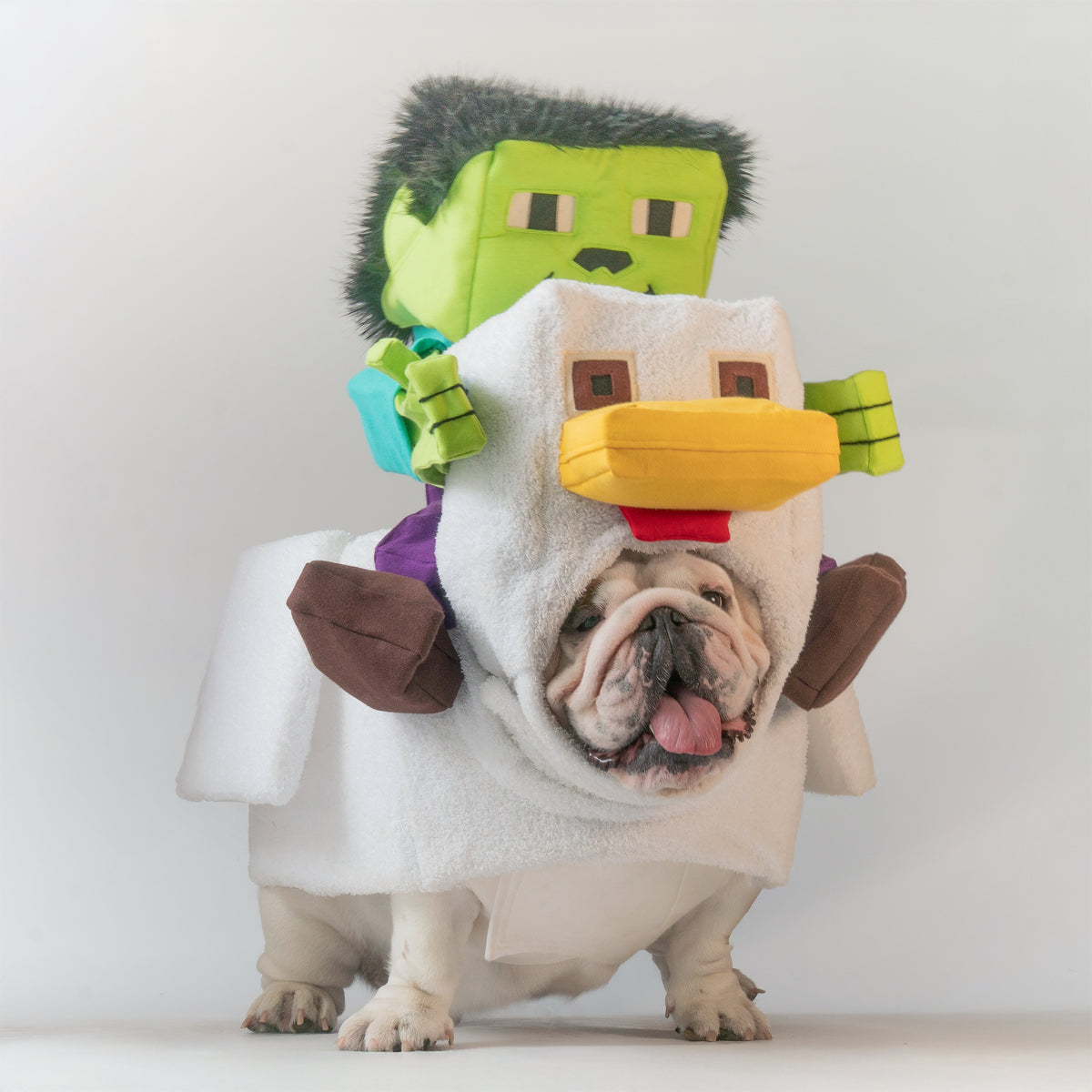 WONTON Chunky Chicken costume (Chicken costume ONLY)