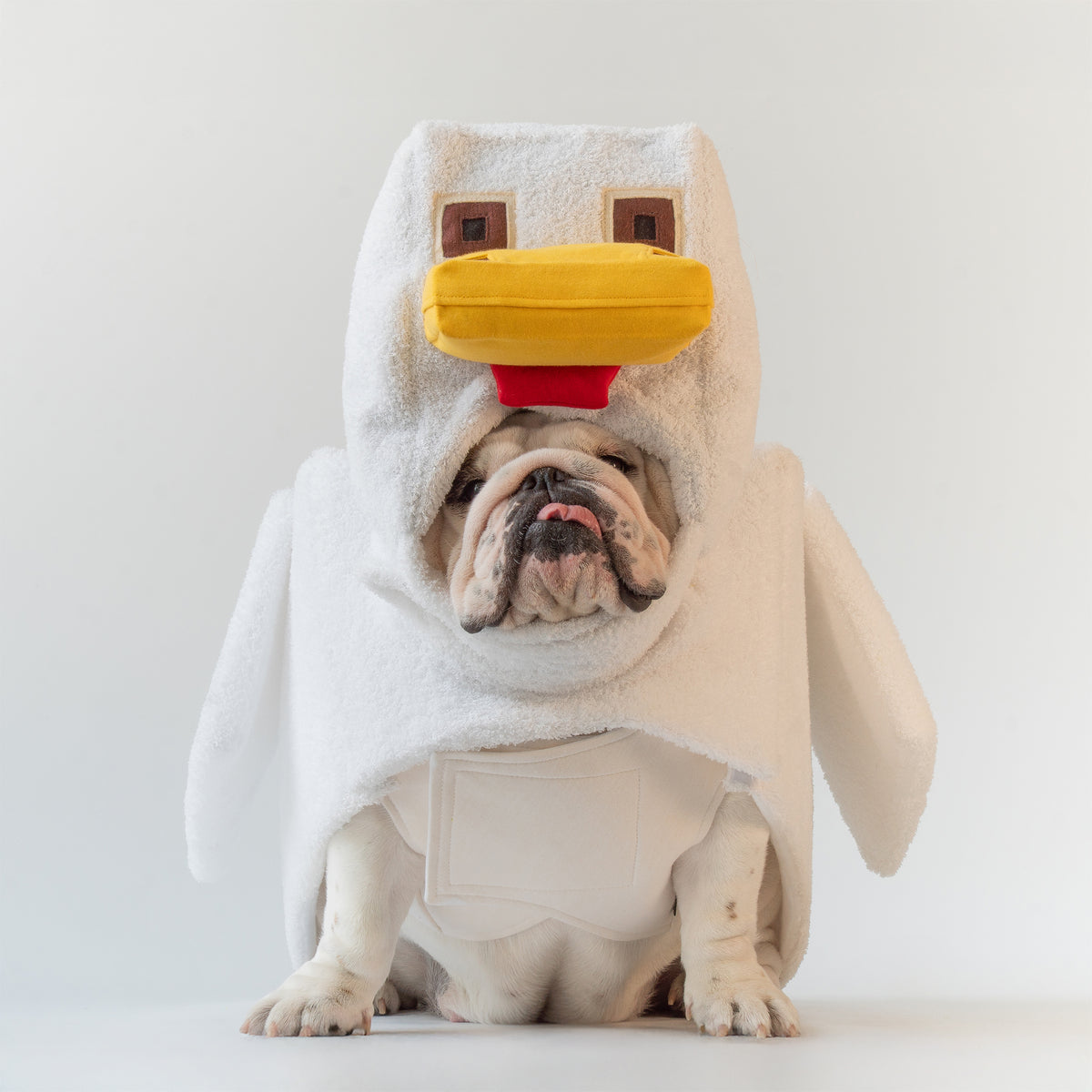 WONTON Chunky Chicken costume (Chicken costume ONLY)