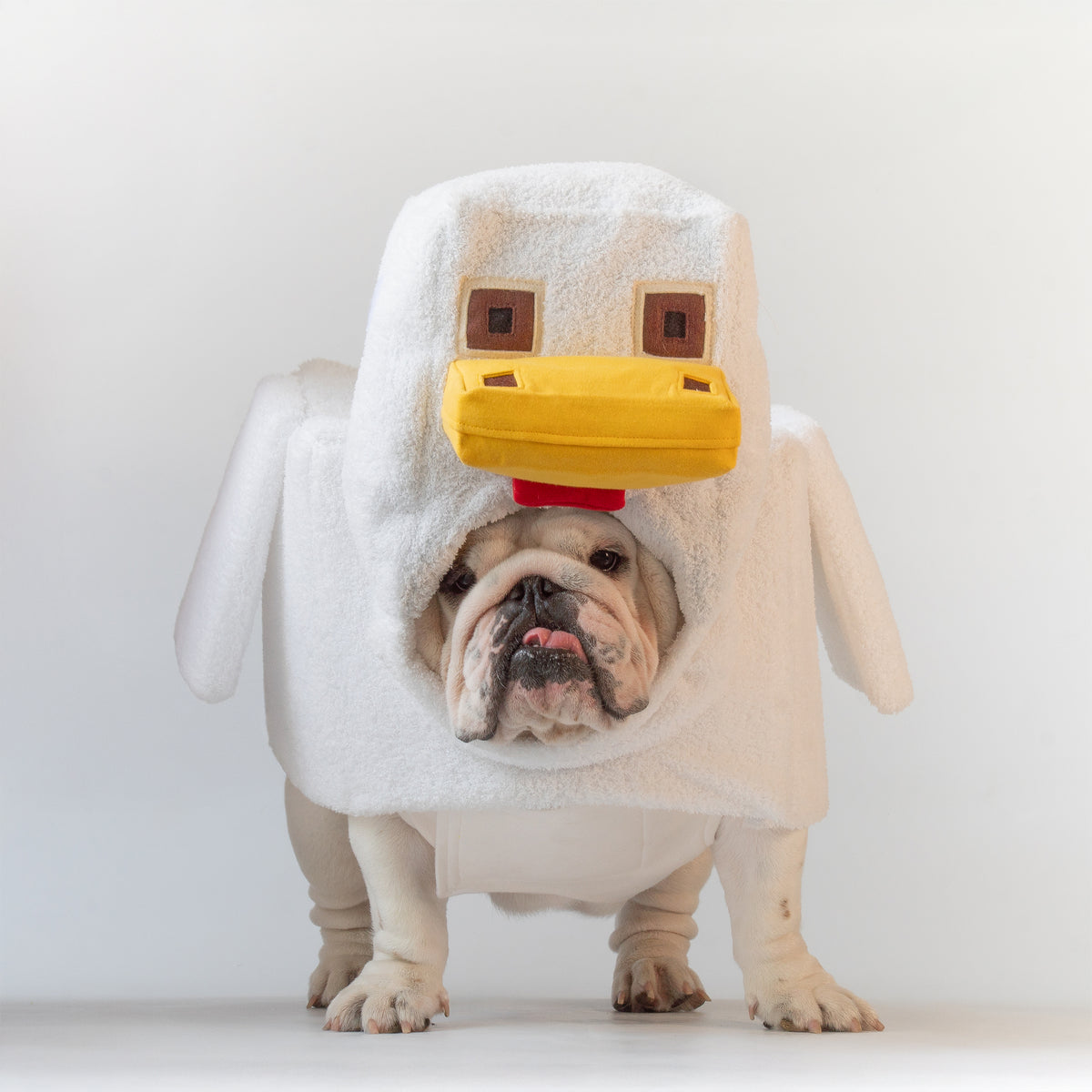 WONTON Chunky Chicken costume (Chicken costume ONLY)