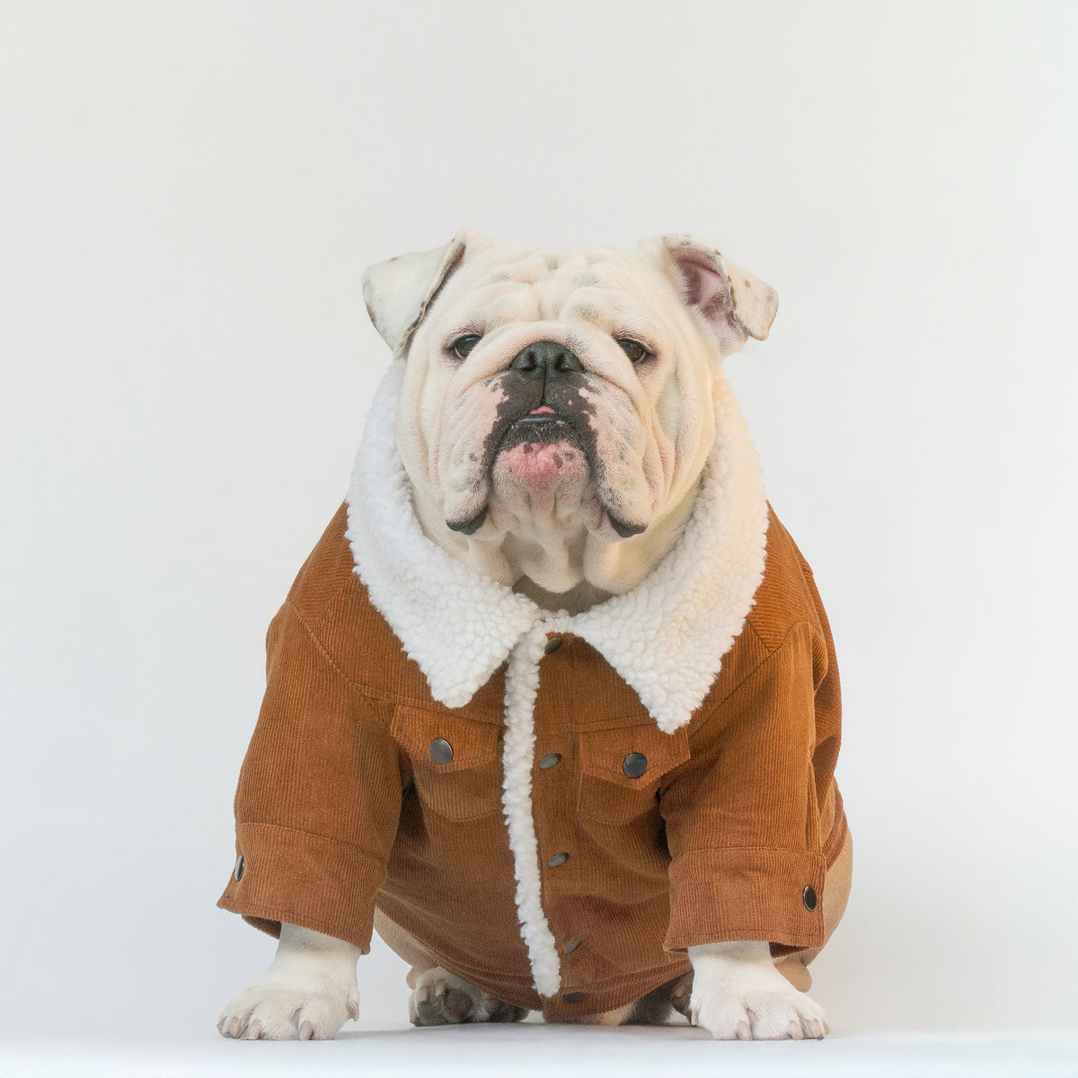 WONTON Classic Corduroy Jacket