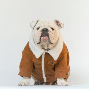 ジャケット・アウター Bulldog bulldog embroidery jacket baseball uniform jacket blouson ユニセッ