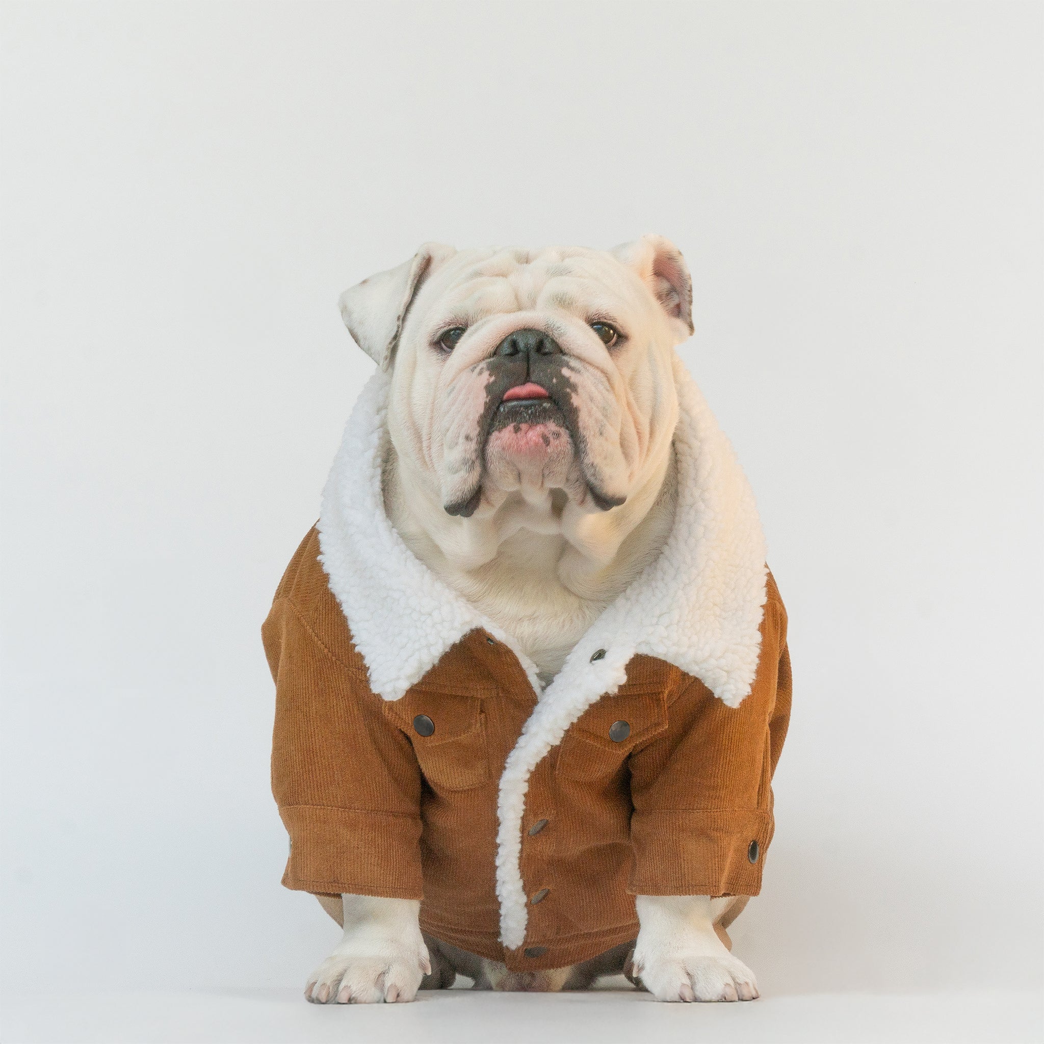 WONTON Classic Corduroy Jacket