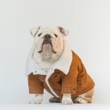 WONTON Classic Corduroy Jacket