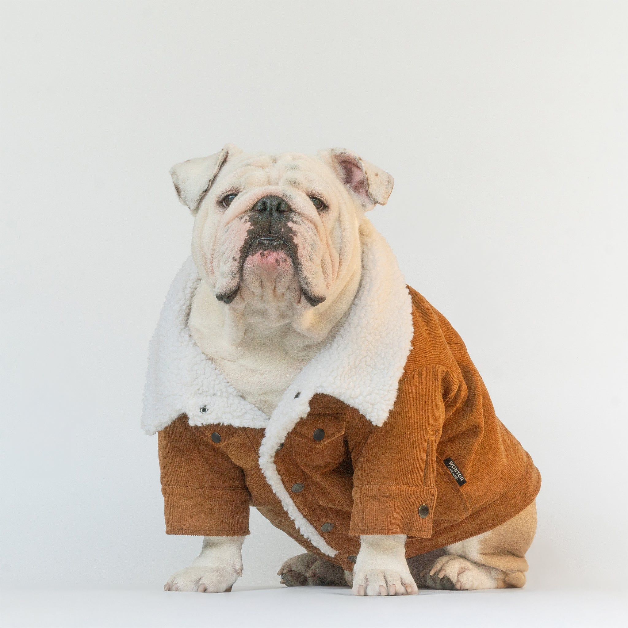 WONTON Classic Corduroy Jacket