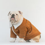 WONTON Classic Corduroy Jacket