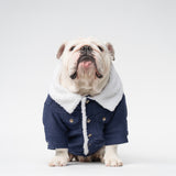 WONTON Classic Corduroy Jacket in navy