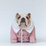 WONTON Classic Corduroy Jacket in valentine pink