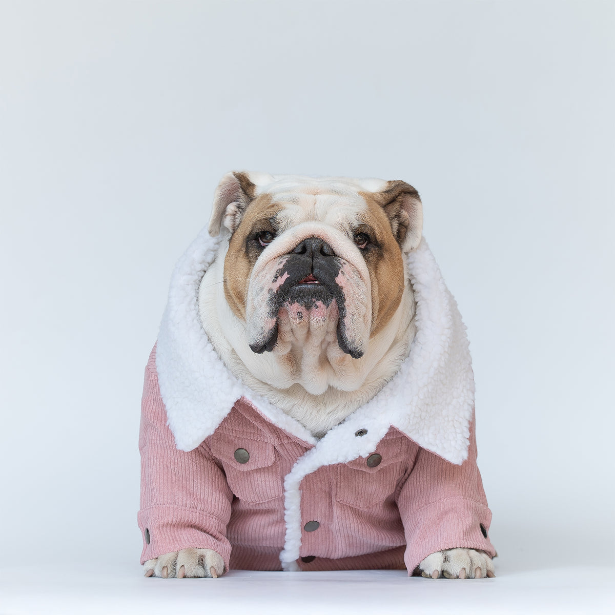 WONTON Classic Corduroy Jacket in valentine pink