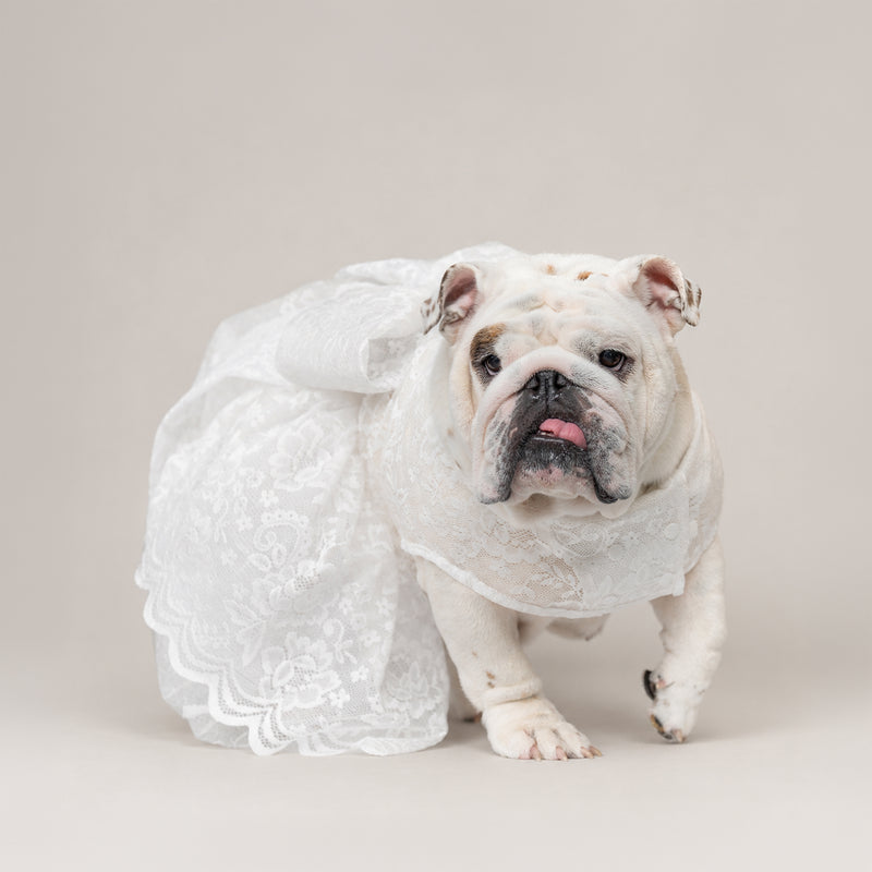 WONTON Cloud Bride Dress (Ultra-Breathable)