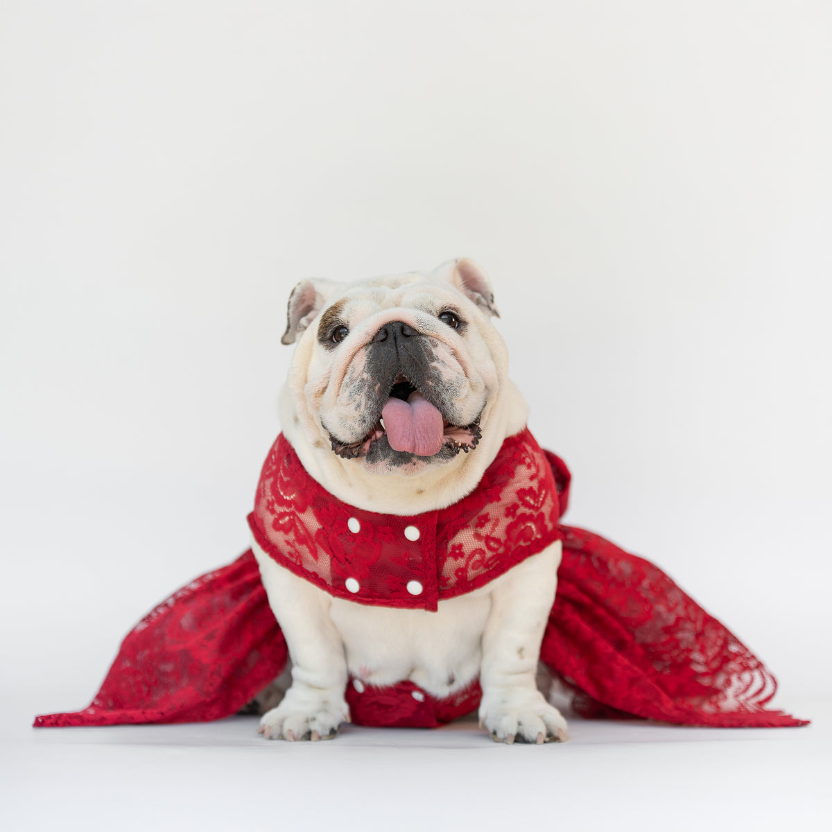 WONTON Cloud Bride Dress in burgundy (Ultra-Breathable)