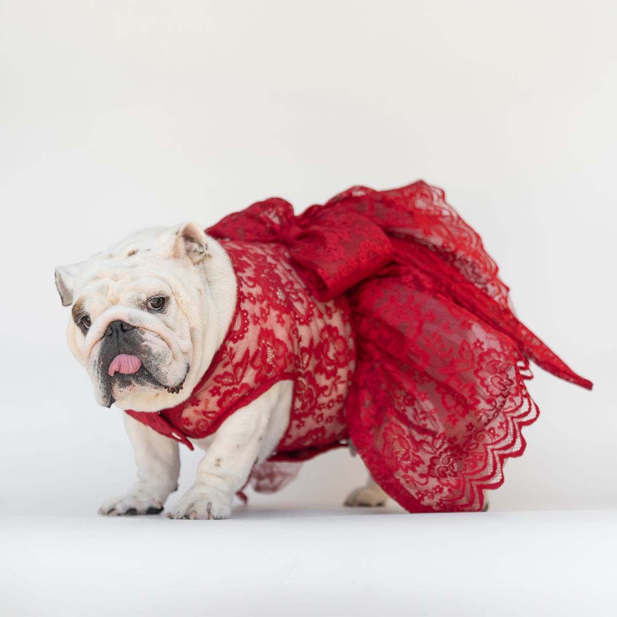 WONTON Cloud Bride Dress in burgundy (Ultra-Breathable)