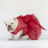 WONTON Cloud Bride Dress in burgundy (Ultra-Breathable)