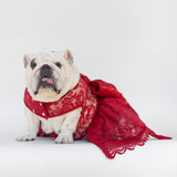WONTON Cloud Bride Dress in burgundy (Ultra-Breathable)
