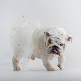 WONTON Cloud Floral Dress (Ultra-Breathable)