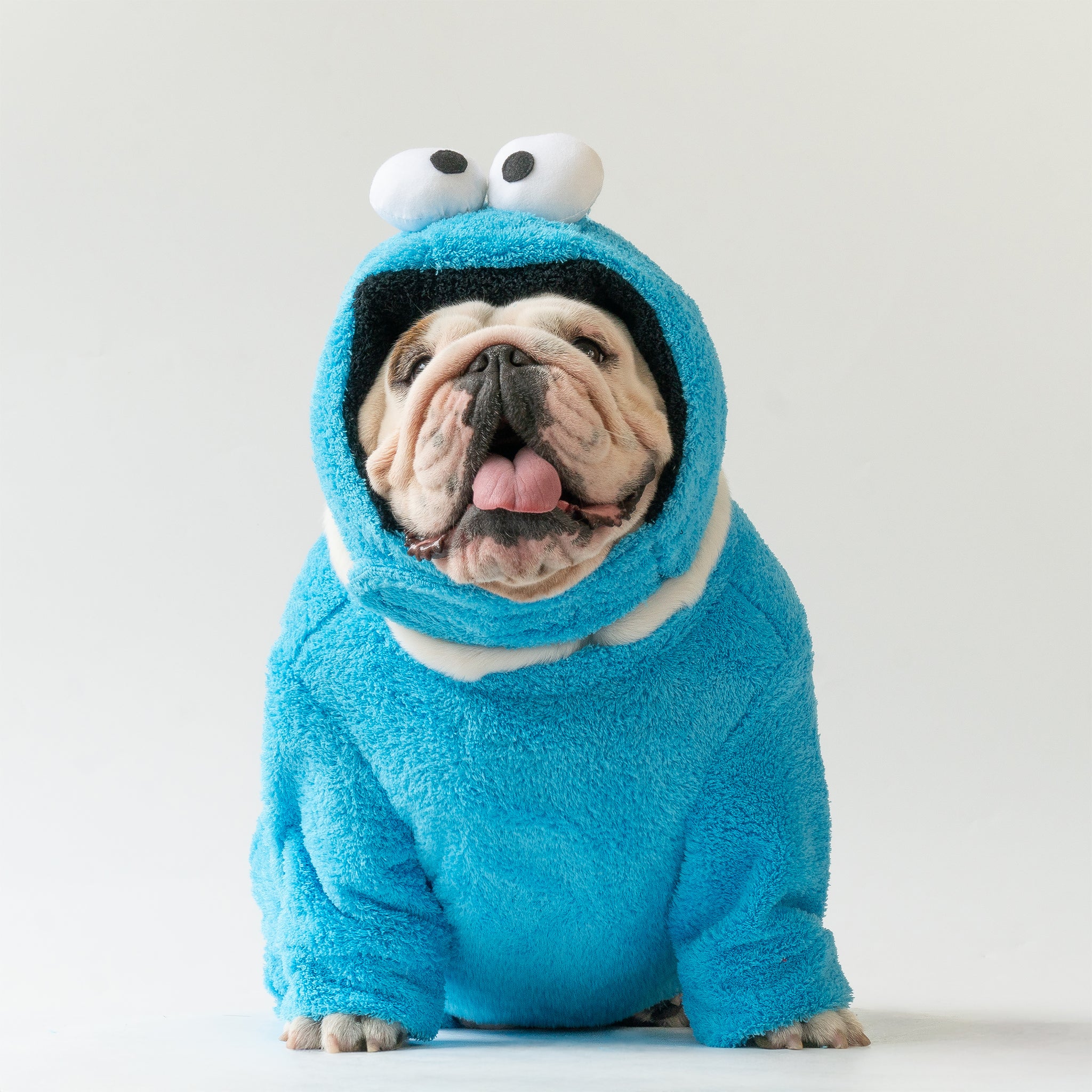 WONTON Cookie Monster costume