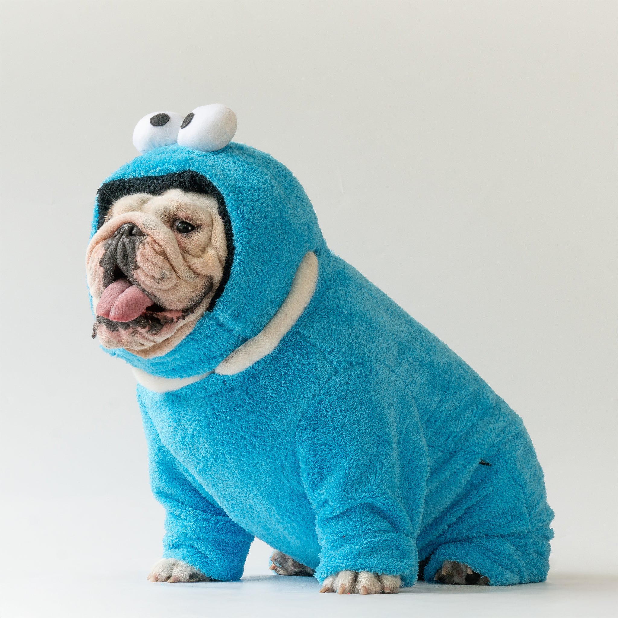 WONTON Cookie Monster costume