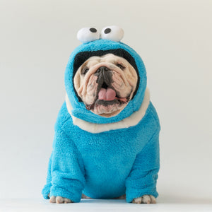 WONTON Cookie Monster costume