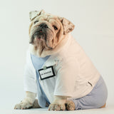WONTON DOCTOR Uniform