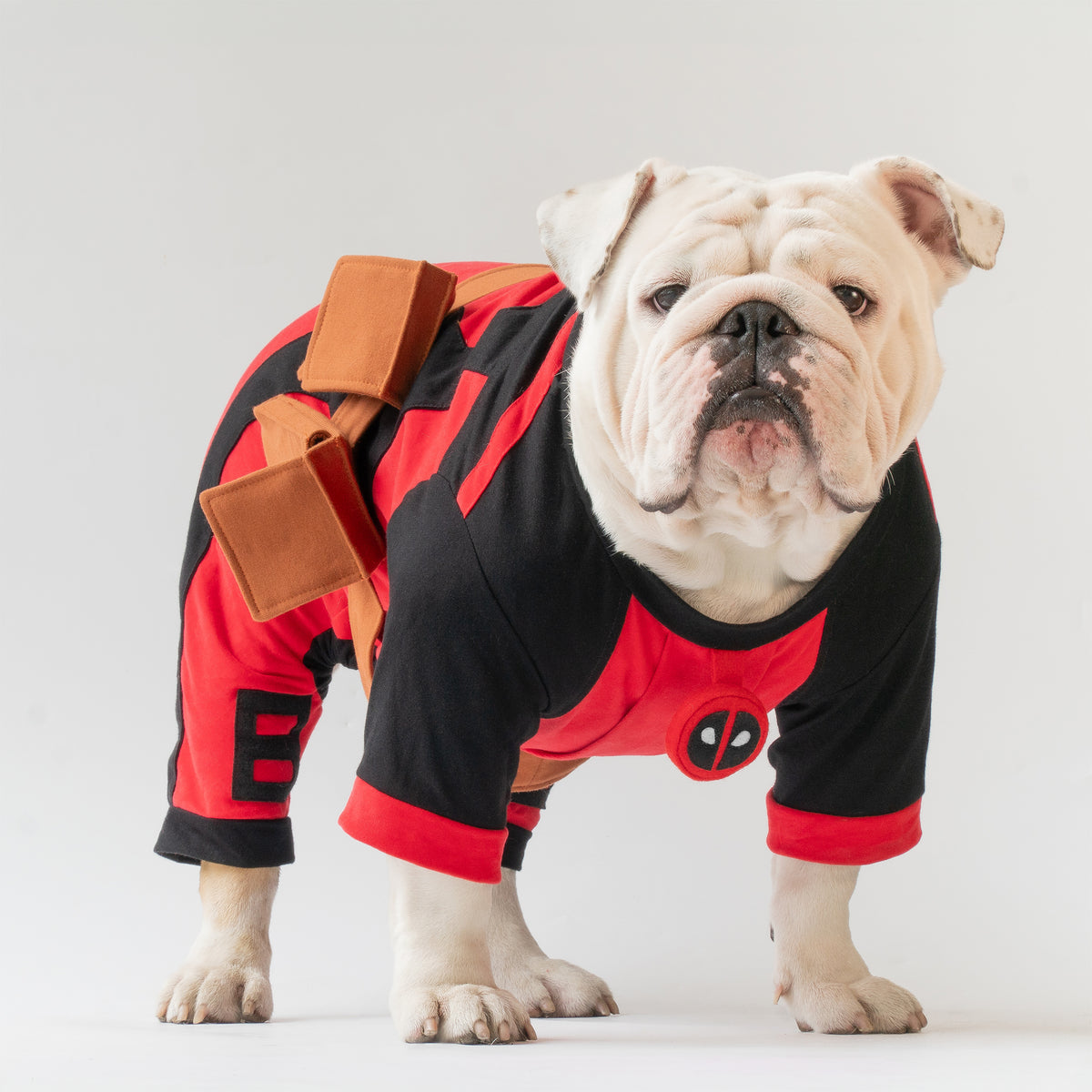 WONTON DogBull costume VERSION 2