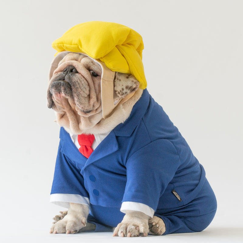 WONTON Donald T. Pooch costume