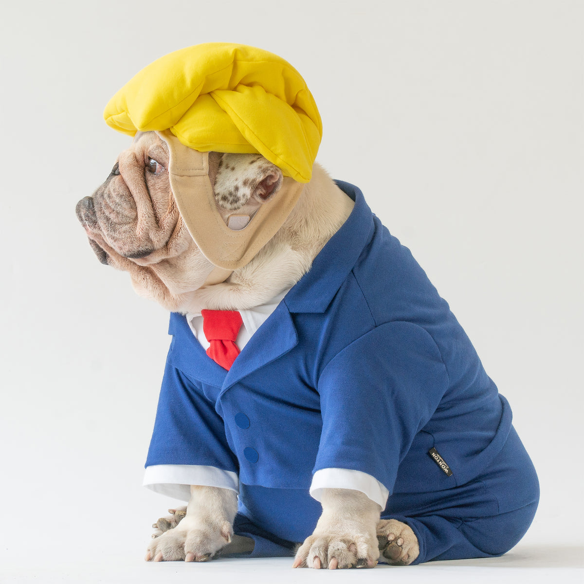 WONTON Donald T. Pooch costume