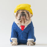 WONTON Donald T. Pooch costume