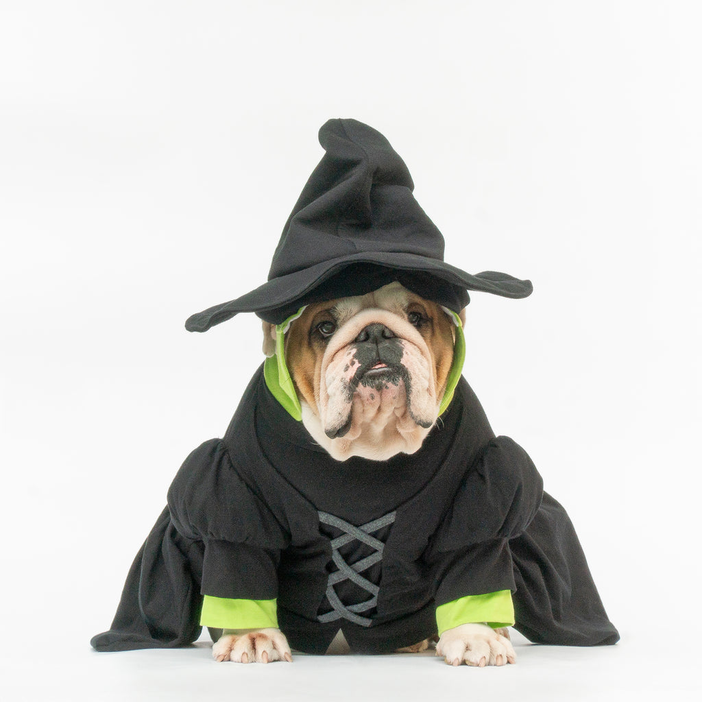 WONTON Elphabull costume