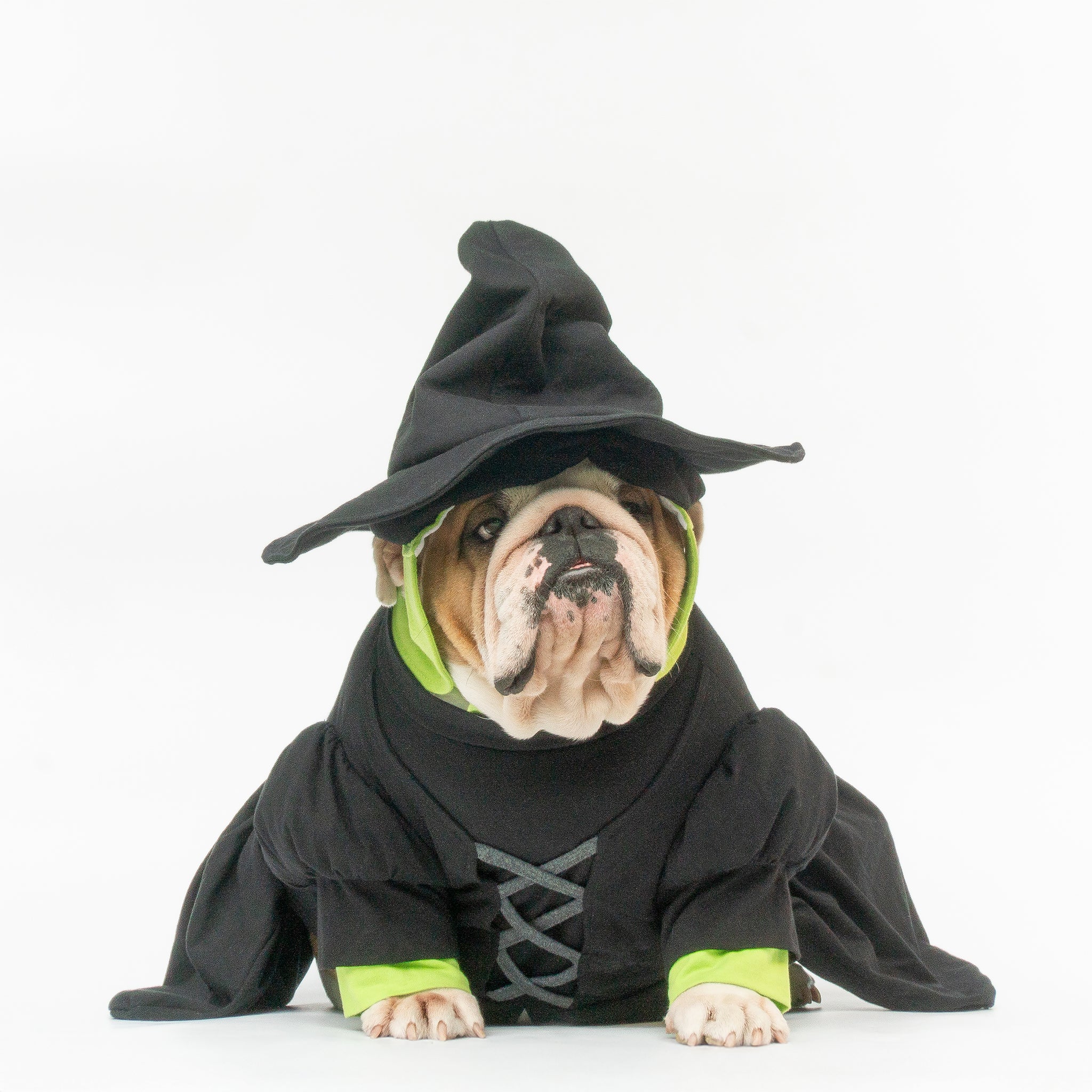 WONTON Elphabull costume