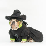 WONTON Elphabull costume