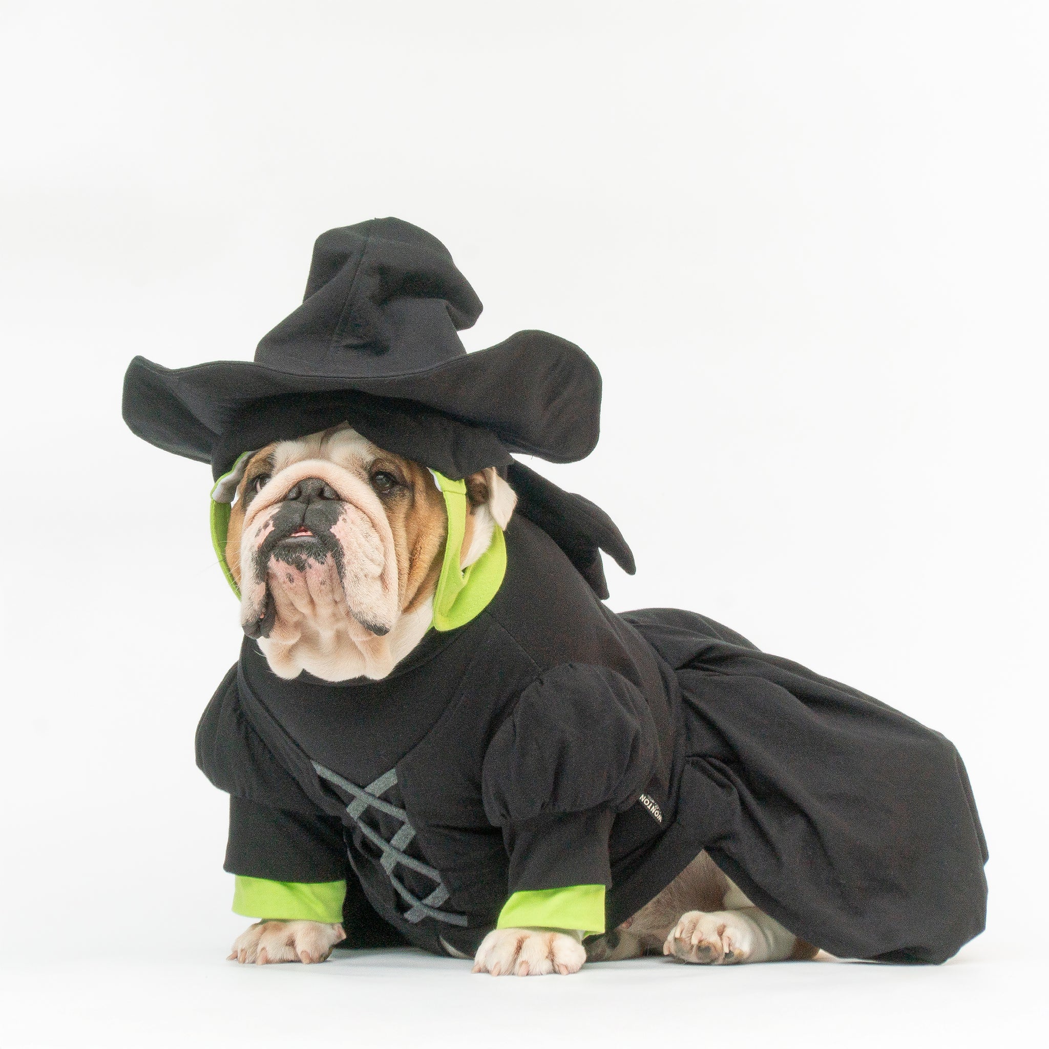 WONTON Elphabull costume