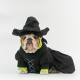 WONTON Elphabull costume
