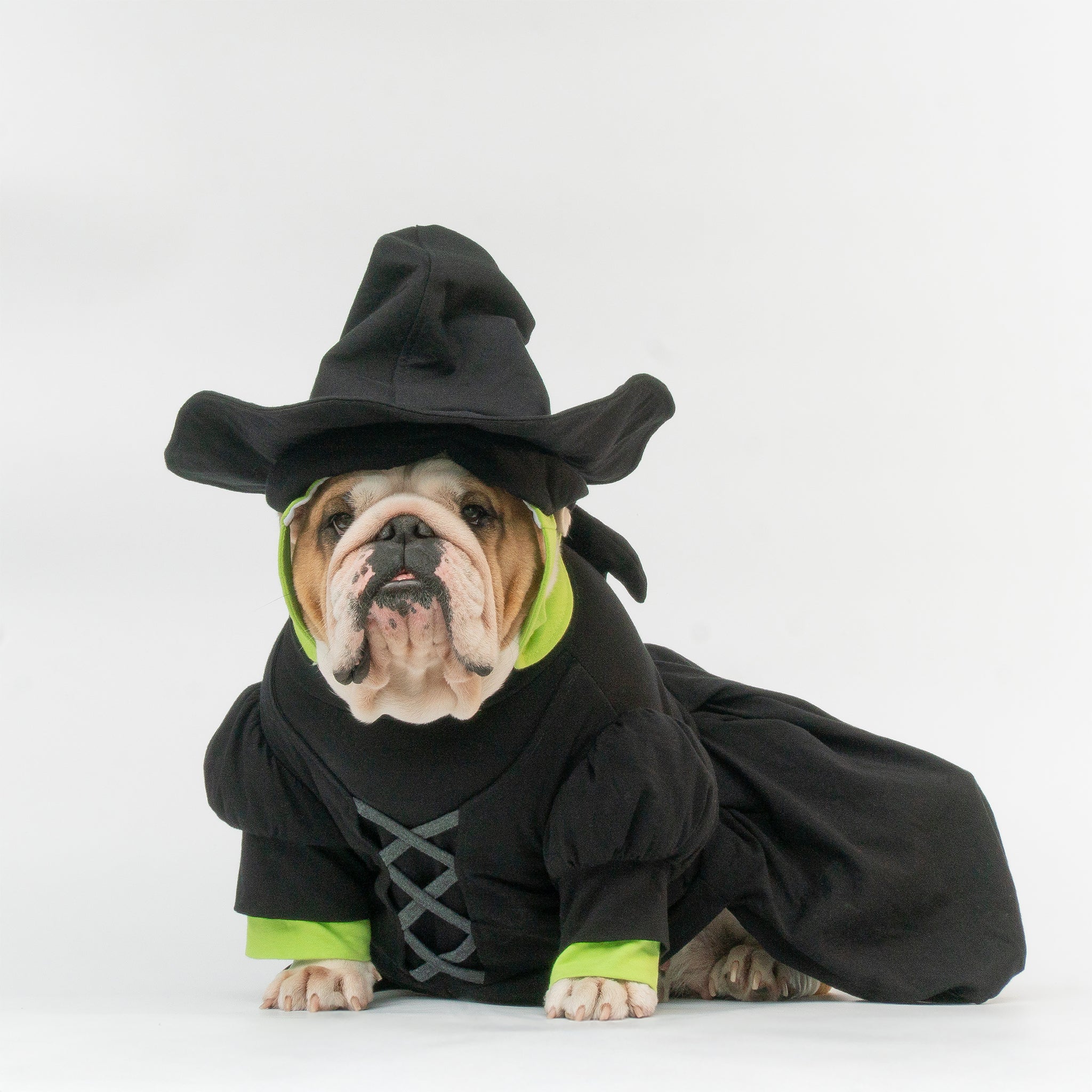 WONTON Elphabull costume