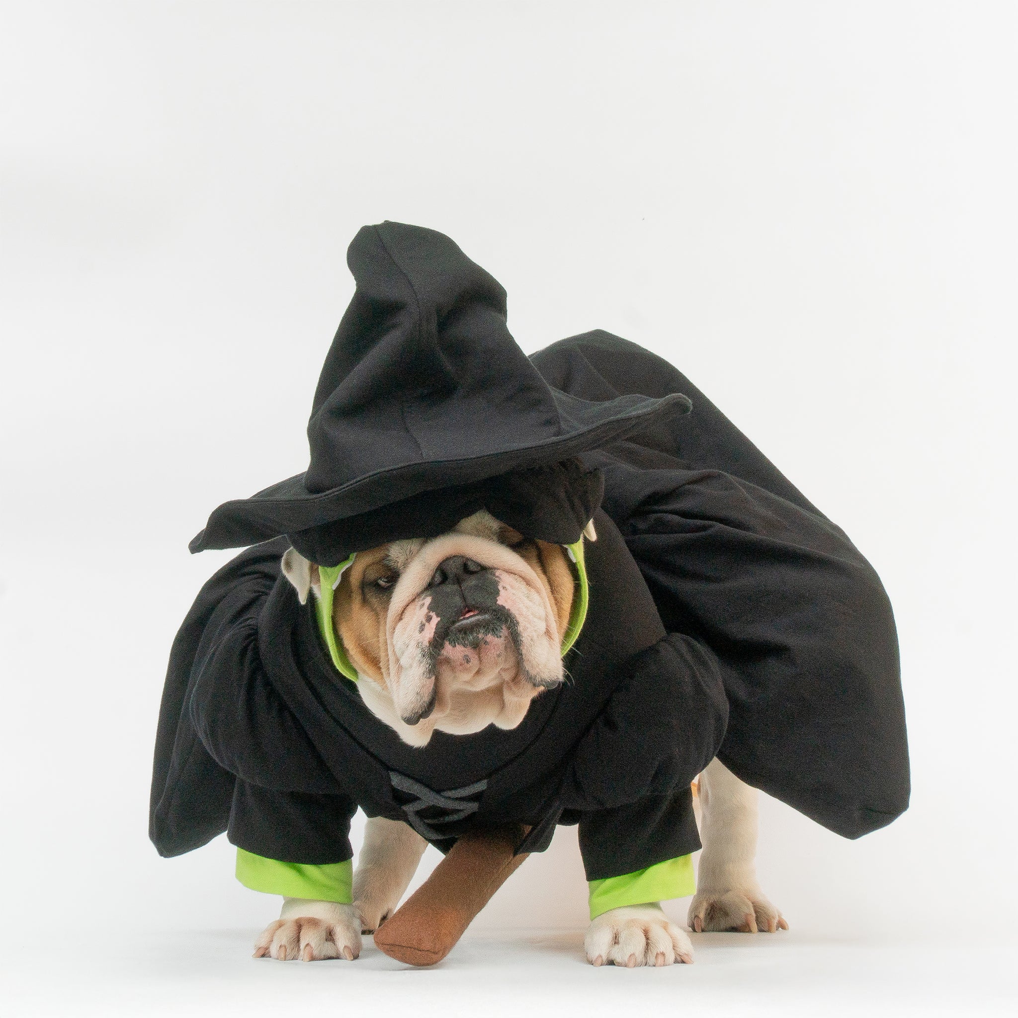 WONTON Elphabull costume