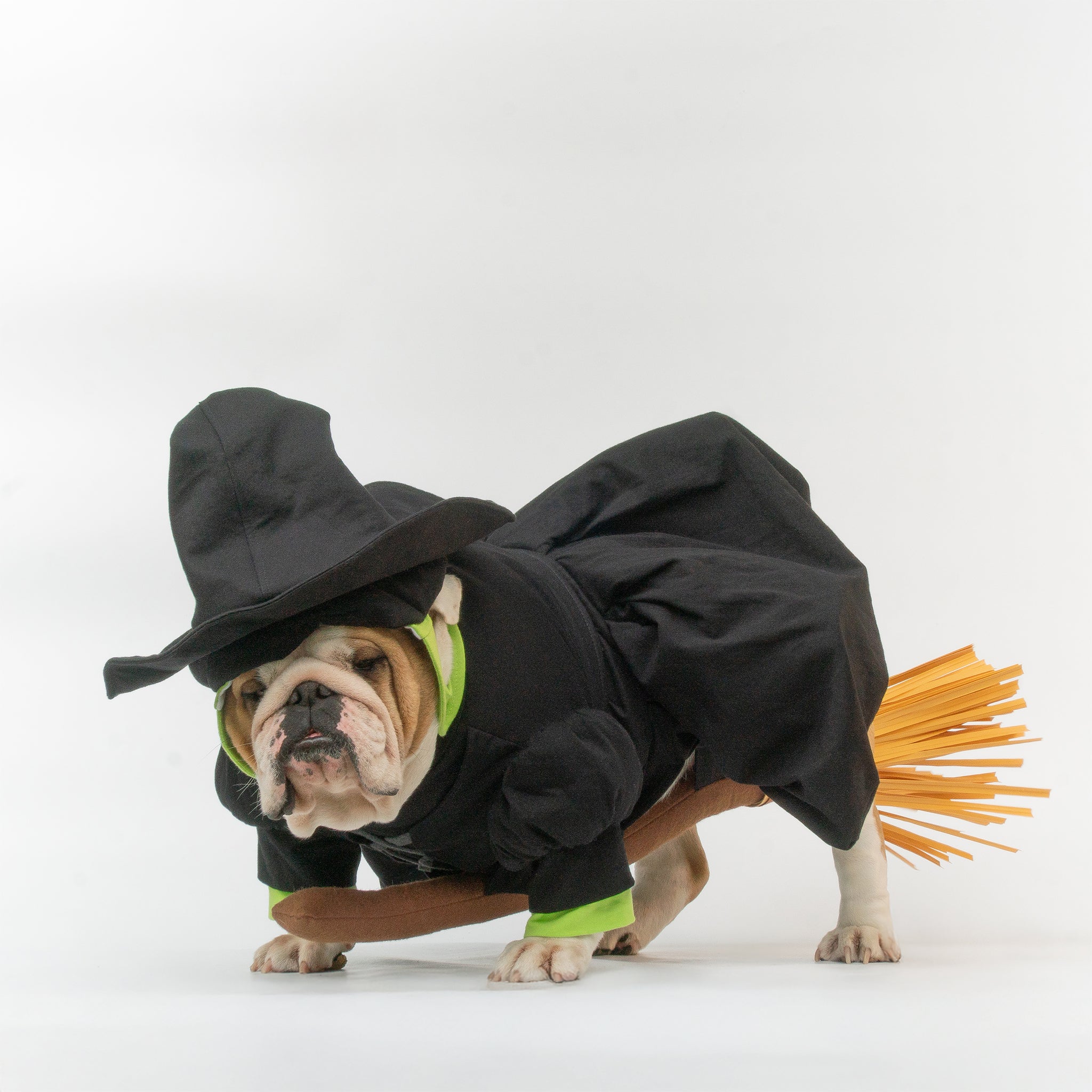 WONTON Elphabull costume