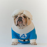 WONTON Fantastic Paws The Invisible Dog costume