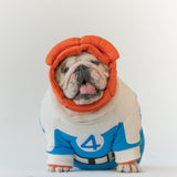 WONTON Fantastic Paws The Thing costume