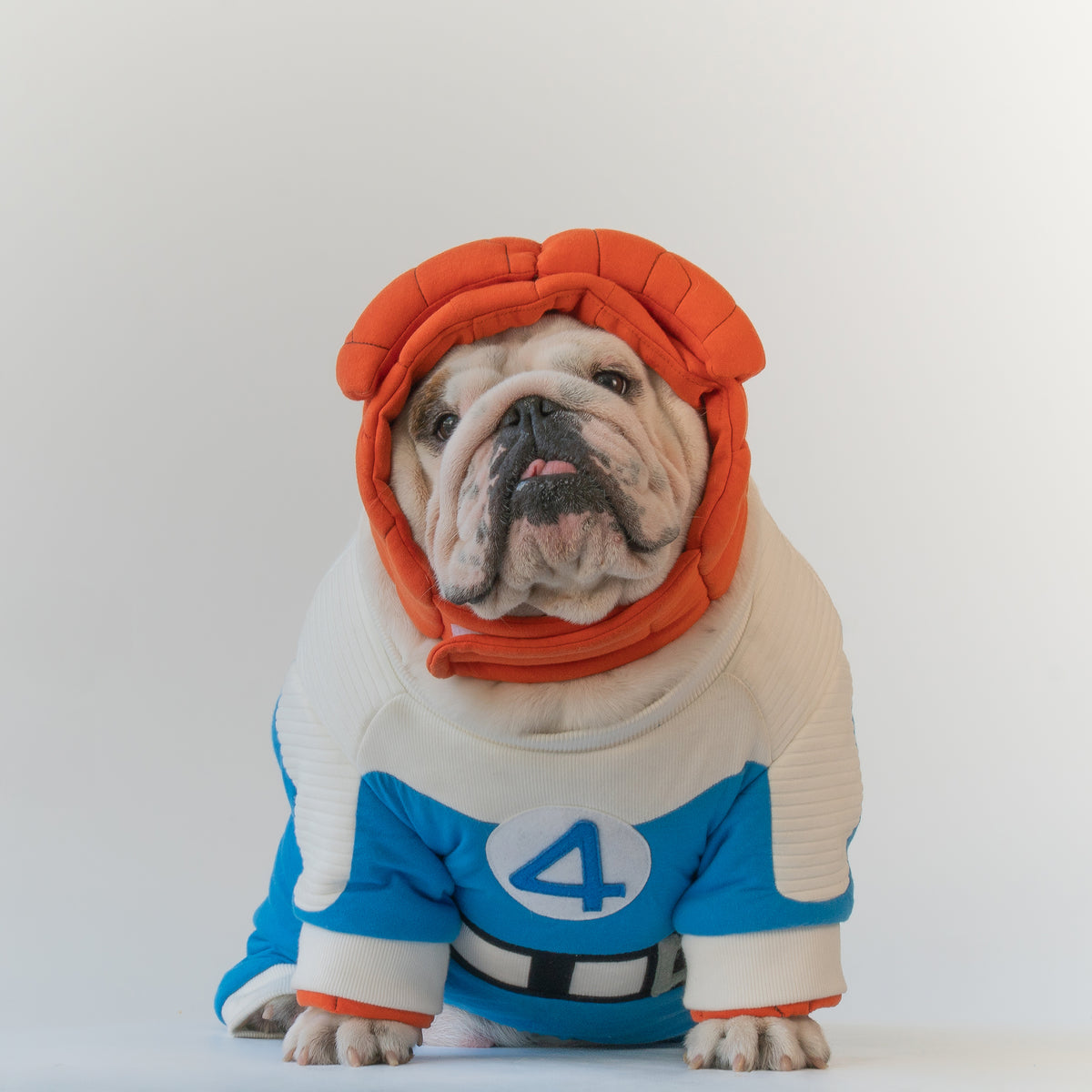 WONTON Fantastic Paws The Thing costume