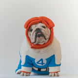 WONTON Fantastic Paws The Thing costume
