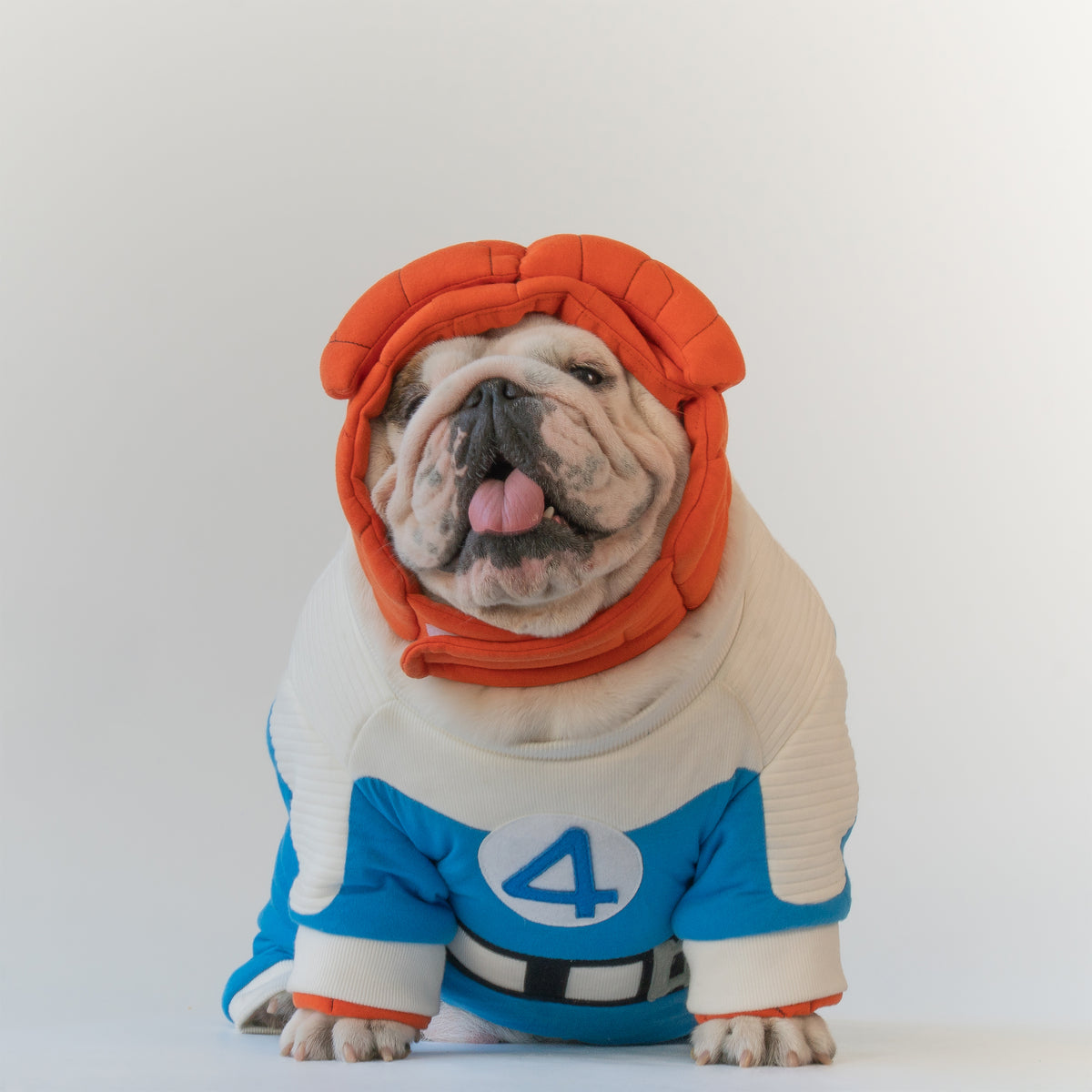 WONTON Fantastic Paws The Thing costume