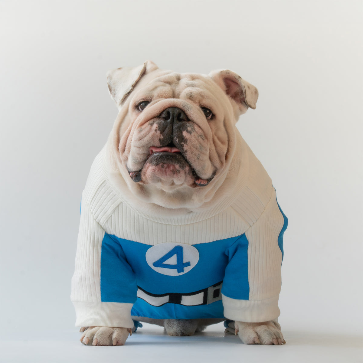 WONTON Fantstic Paws Torchie costume